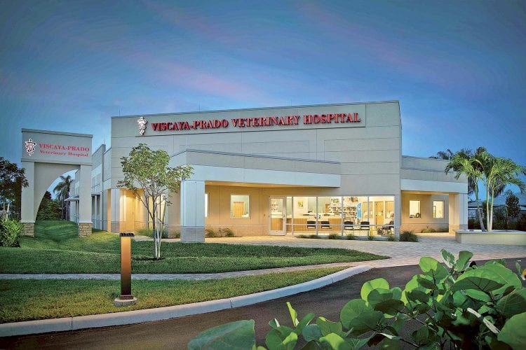 Stevens Construction completes ViscayaPrado Veterinary Hospital News
